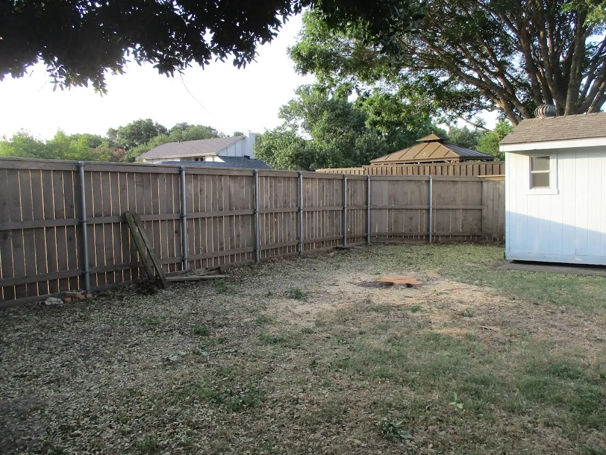 Cleared yard after professional tree removal in Beaver Crossing