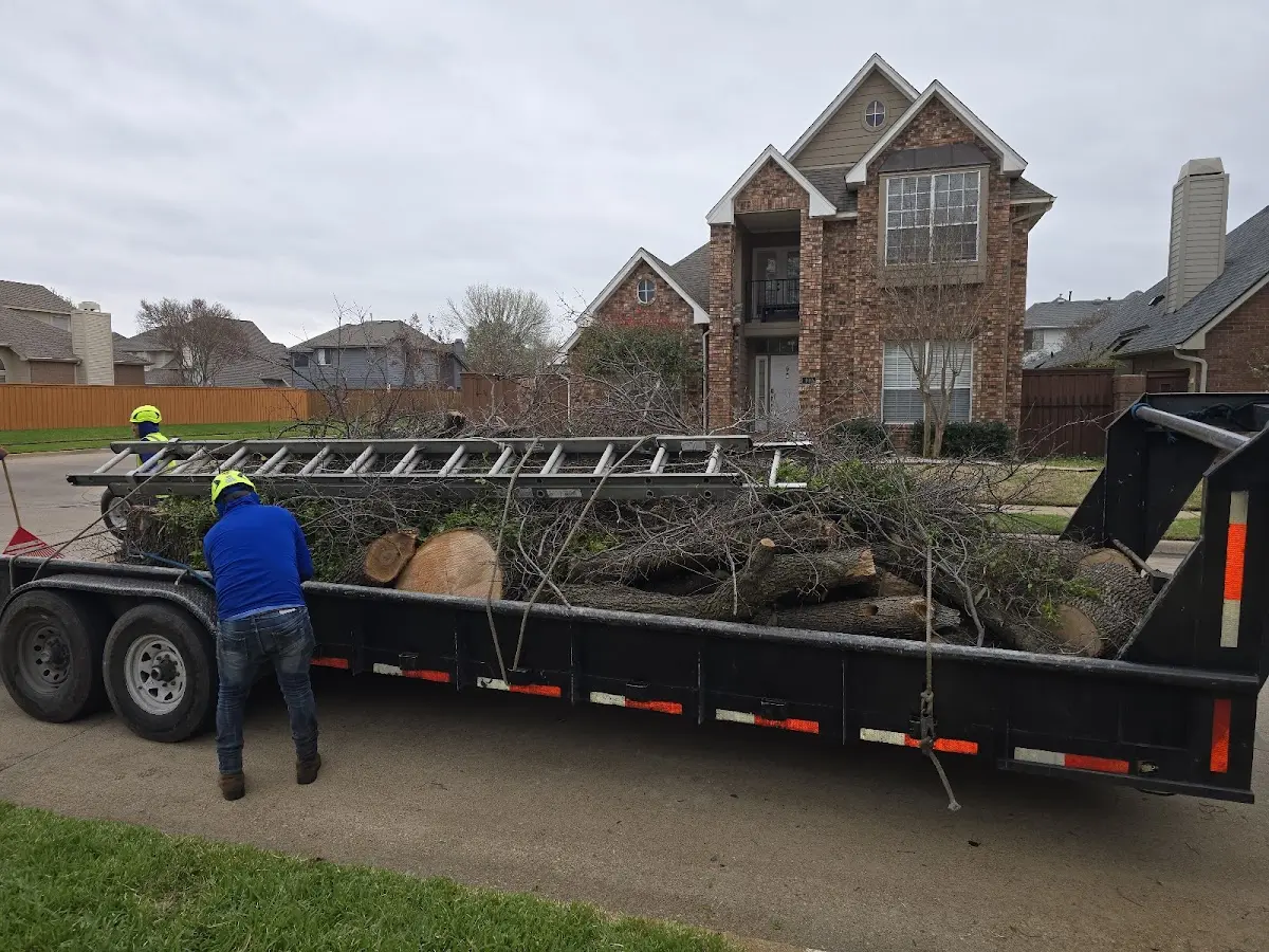 Expert Tree Pest Control with proper safety equipment in Beaver Crossing